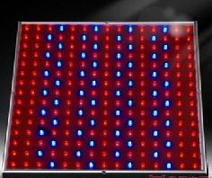 供应LED植物灯_敏感元件_分立元器件_半导体