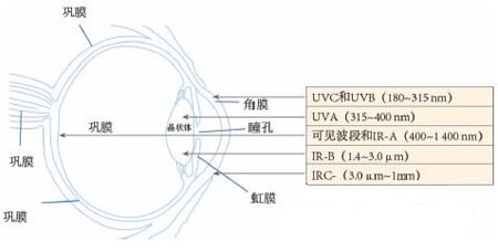 LED汽车前照灯光辐射安全研究_中国半导体器