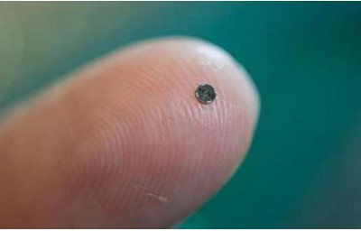 超细微芯片可为医生提供心脏内部3D视图_大比