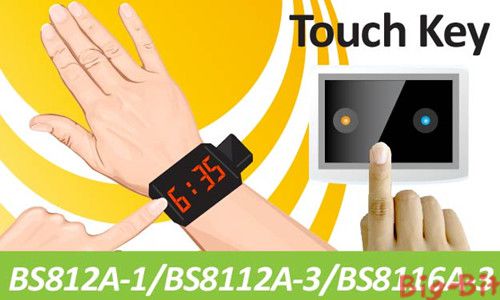 广东猛狮电源科技股份有限公司关于控股股东股