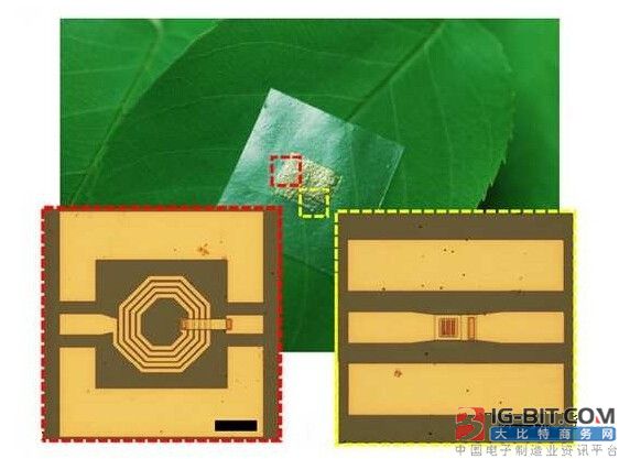 纳米纤维取代重金属 半导体原材料重大革新构
