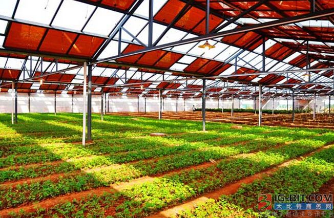 农业+光伏成为新兴产业模式_大比特商务网