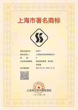 上海自仪SI品牌建设迈出坚实步伐_大比特商