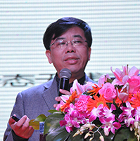 中国电源学会副理事长 张波教授