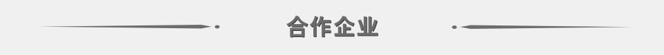 合作企业